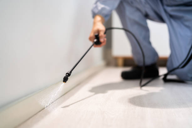 Licensed Pest Control service in Evans, CO - Show Me Pest Control