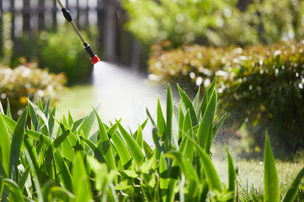 24/7 Emergency Mosquito Control experts in Evans, CO