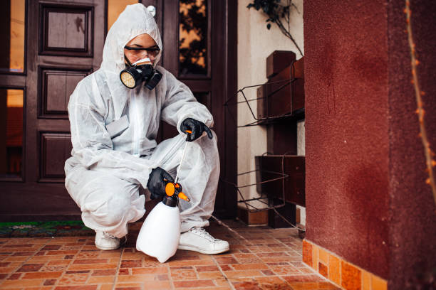 Reliable Mosquito Control contractor in Evans, CO by Show Me Pest Control